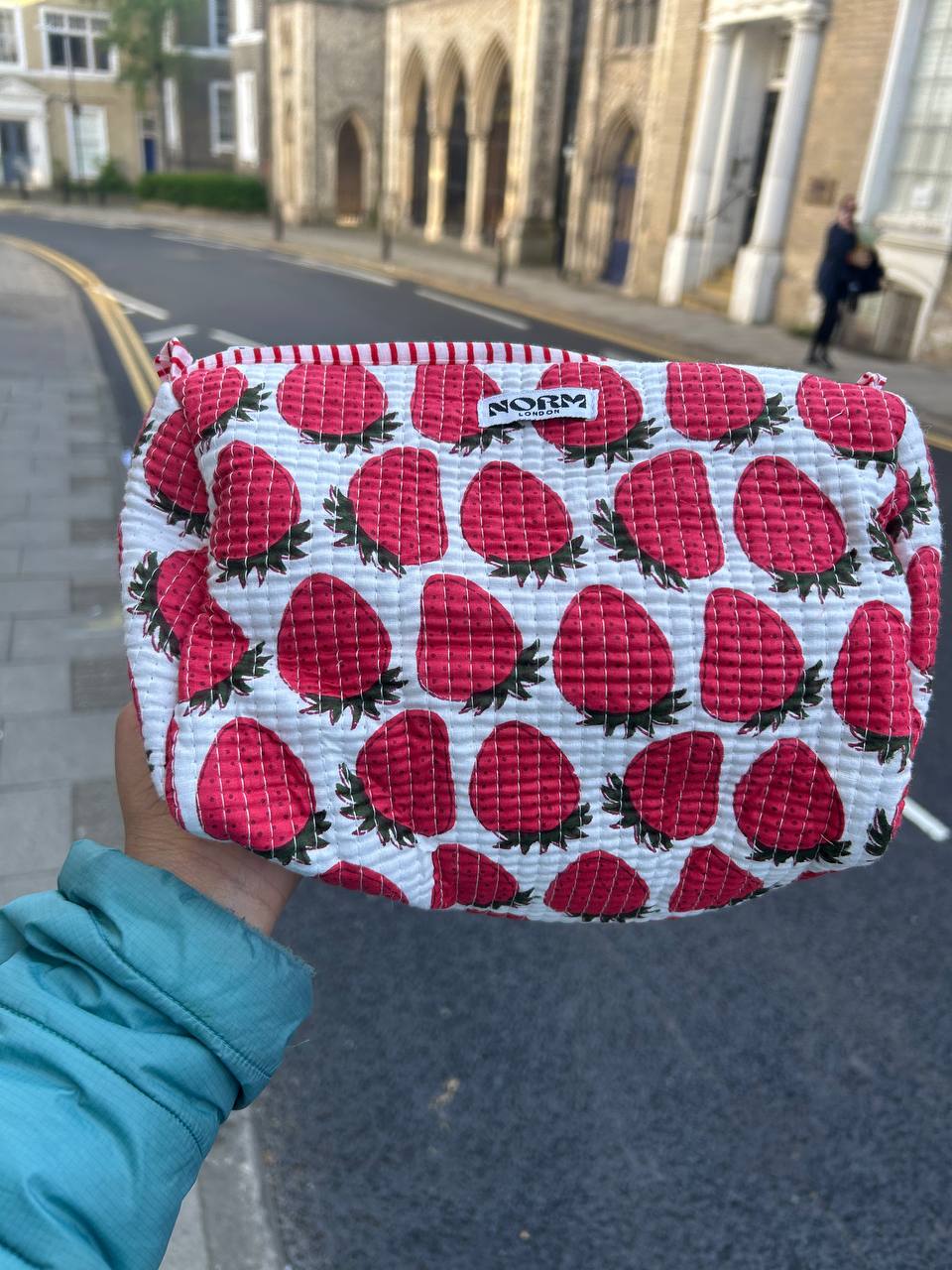 WATERPROOF STRAWBERRY WASH BAG