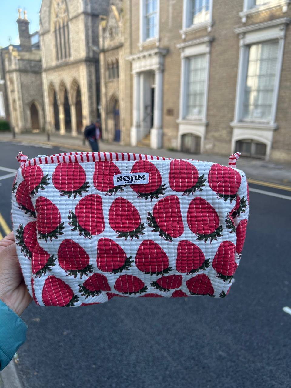 WATERPROOF STRAWBERRY WASH BAG
