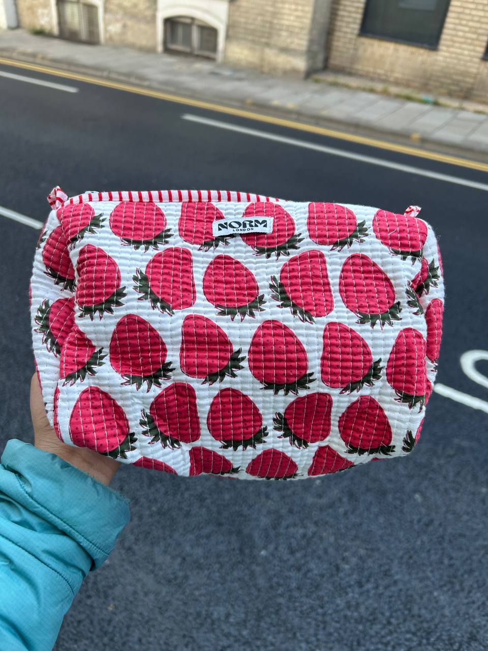 WATERPROOF STRAWBERRY WASH BAG