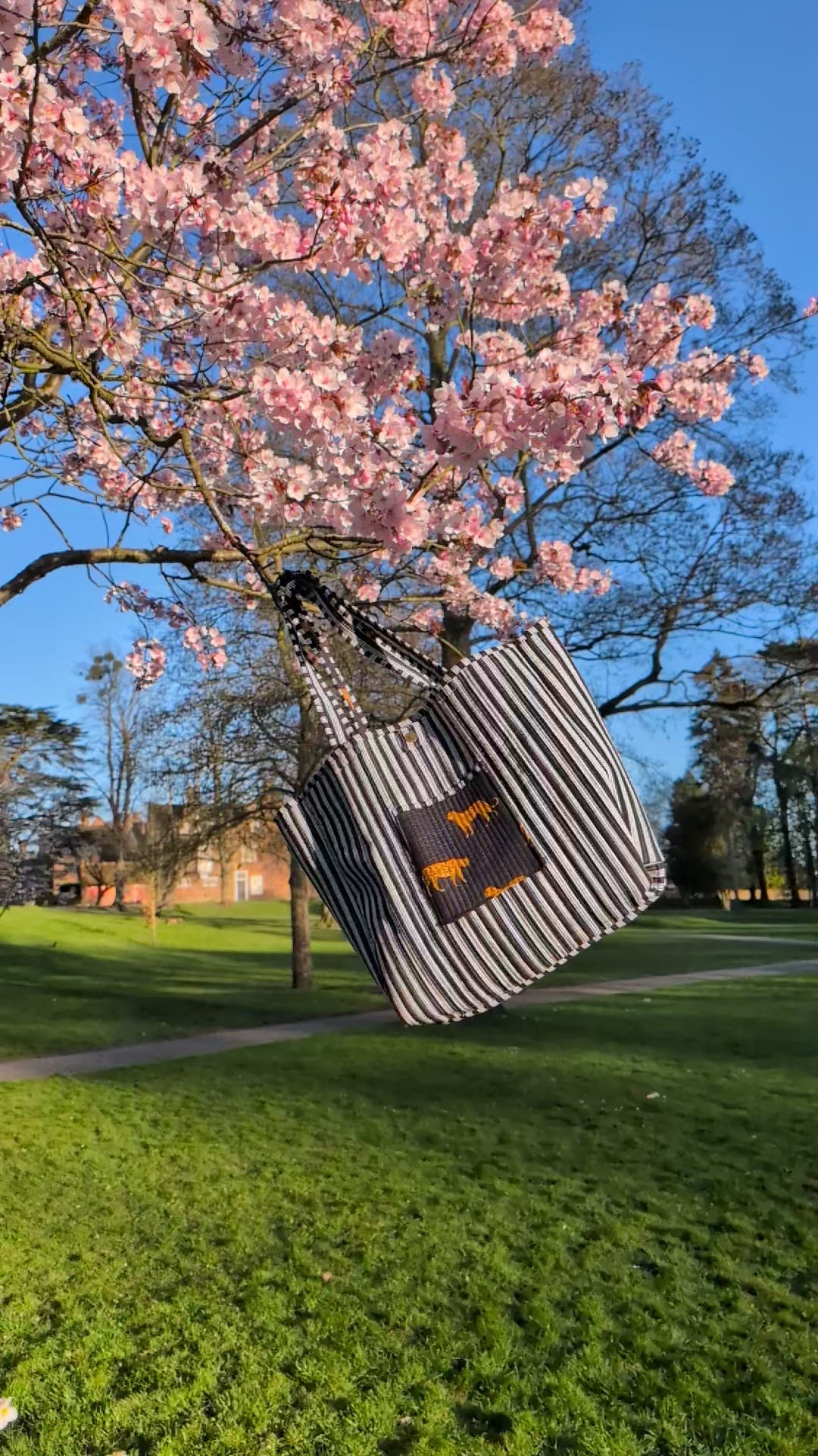 Reversible Tote bag/weekend bag