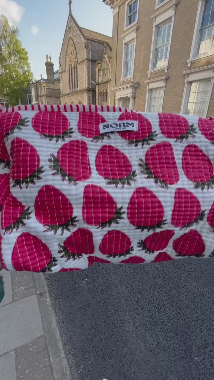 WATERPROOF STRAWBERRY WASH BAG